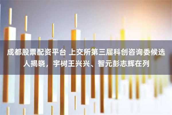 成都股票配资平台 上交所第三届科创咨询委候选人揭晓，宇树王兴兴、智元彭志辉在列