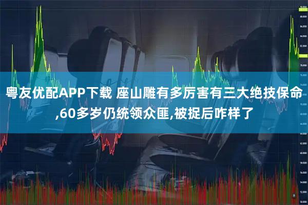 粤友优配APP下载 座山雕有多厉害有三大绝技保命,60多岁仍统领众匪,被捉后咋样了